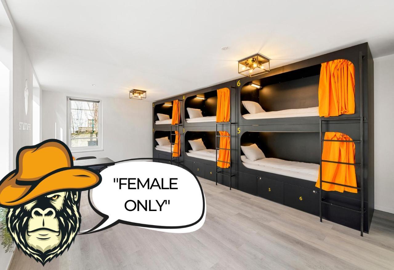 Stadtaffe - Chic Hostel Vie ウィーン 部屋 写真